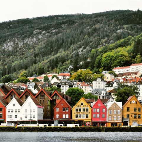 Bergen test